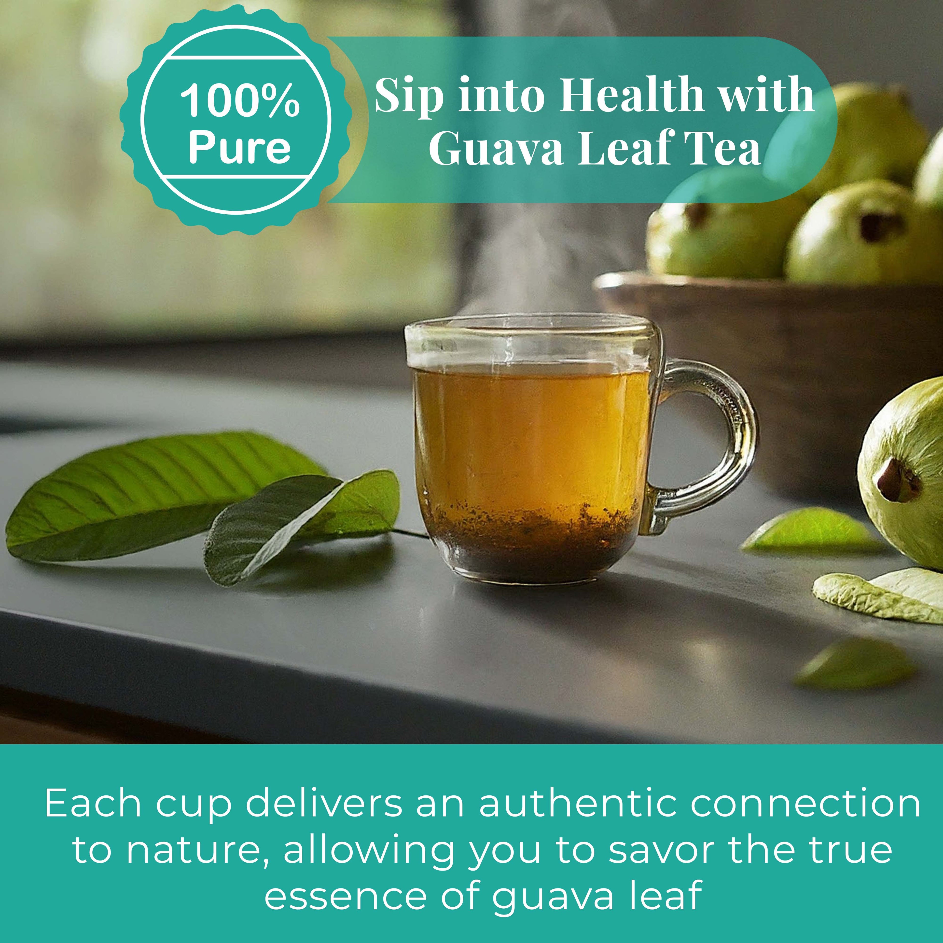 Akshit Dried Guava Leaves ( Hojas De Guayaba ) - 2.6 oz | Pure Guava Leaf for Tea | Feuilles de goyave | Caffeine free, Non GMO, Gluten-free, bio Akshit